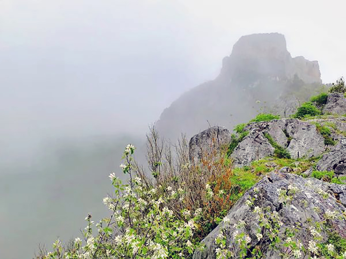 замок Монсегюр в тумане