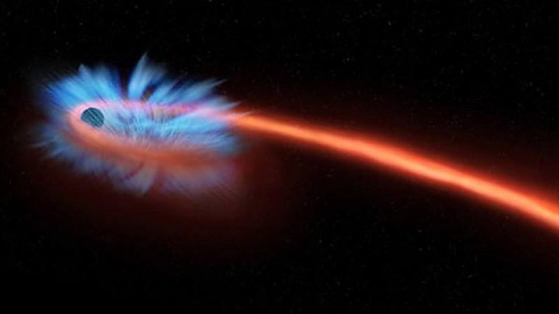Разрушение и смерть звезды, попадающей в черные дыры, представило NASA в виде компьютерной анимации