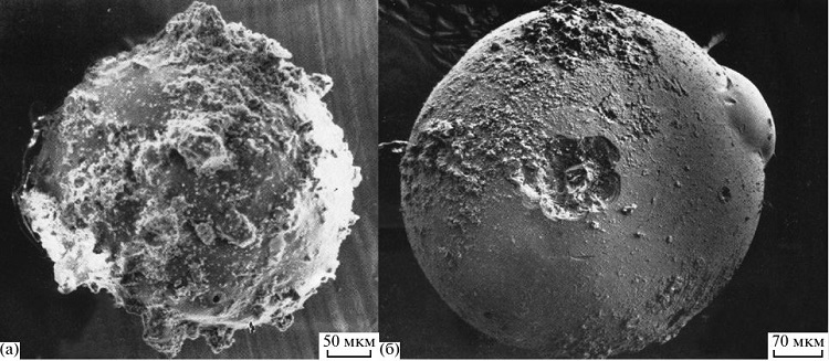 изображение реголита - лунной пыли