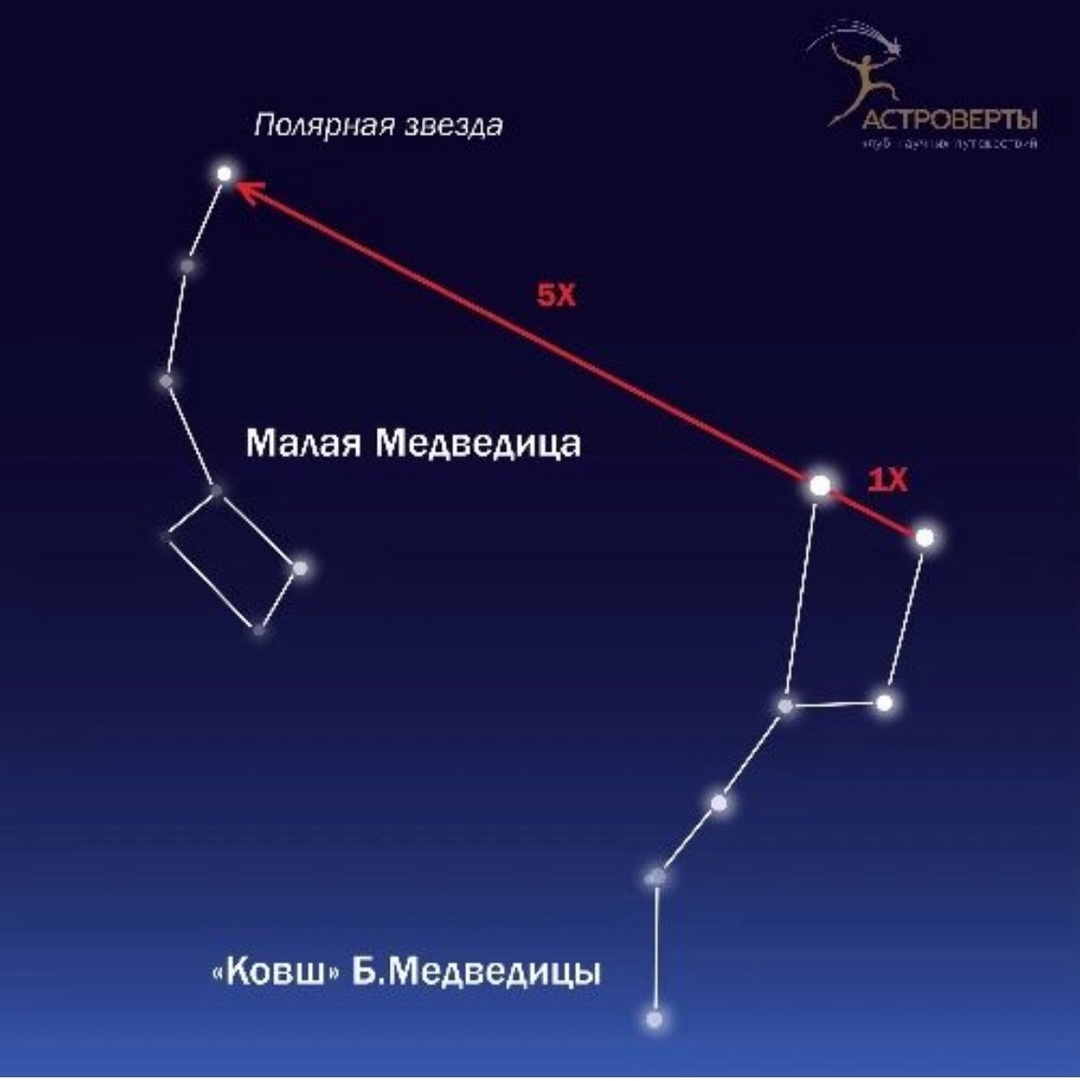 Полярная звезда как найти