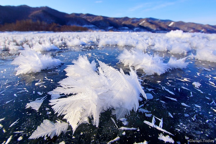 ледяные цветы на тонком льду Байкала