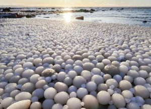 «Ледяные яйца» Финского залива Шарики появляются, когда вода уже близка к замерзанию, и почти нет ветра. Вода фактически окутывает льдинки, а волны оттачивают поверхность до шарообразной и овальной форм