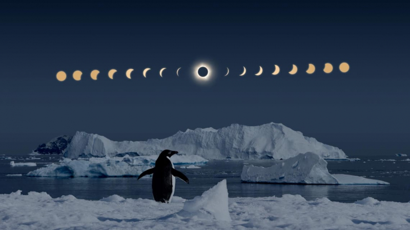 Пингвины смогут любоваться полной стадией этого солнечного затмения.